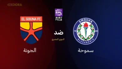 سموحة ضد الجونة